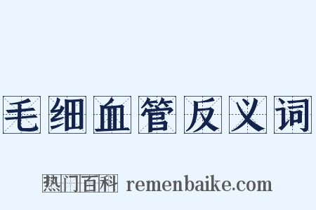毛细血管反义词是什么意思的图片